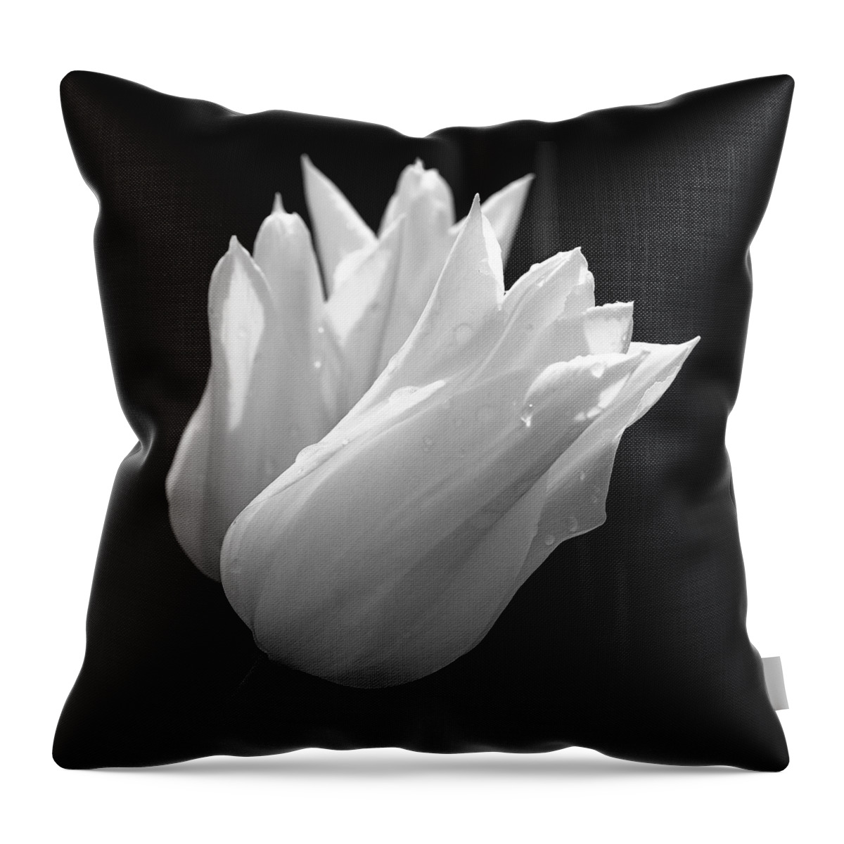 Tulips Throw Pillow featuring the photograph Sunlit White Tulips by Rona Black