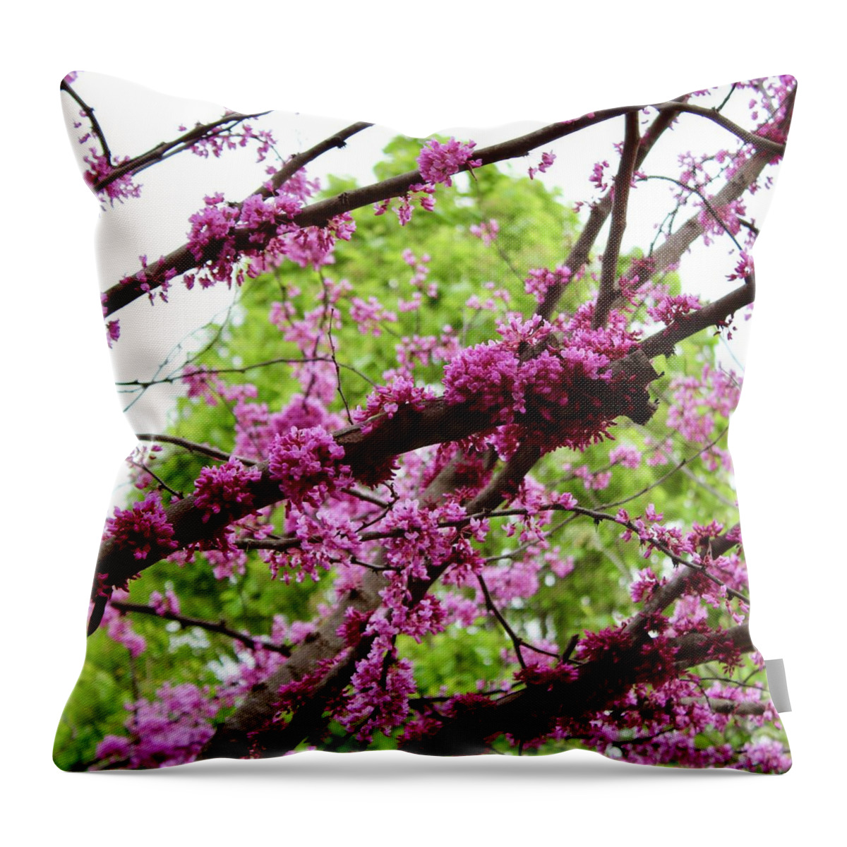 Photography Throw Pillow featuring the photograph Sunning Redbud Blooming Branches by M E
