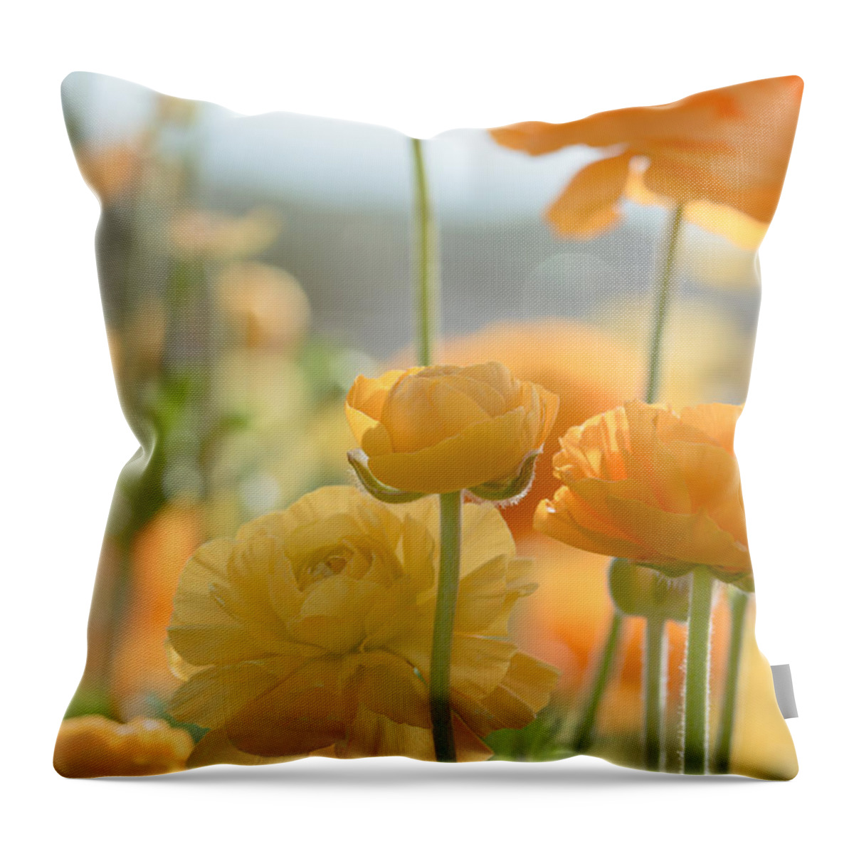 Spring Throw Pillow featuring the photograph Sunny and Sweet by Ana V Ramirez
