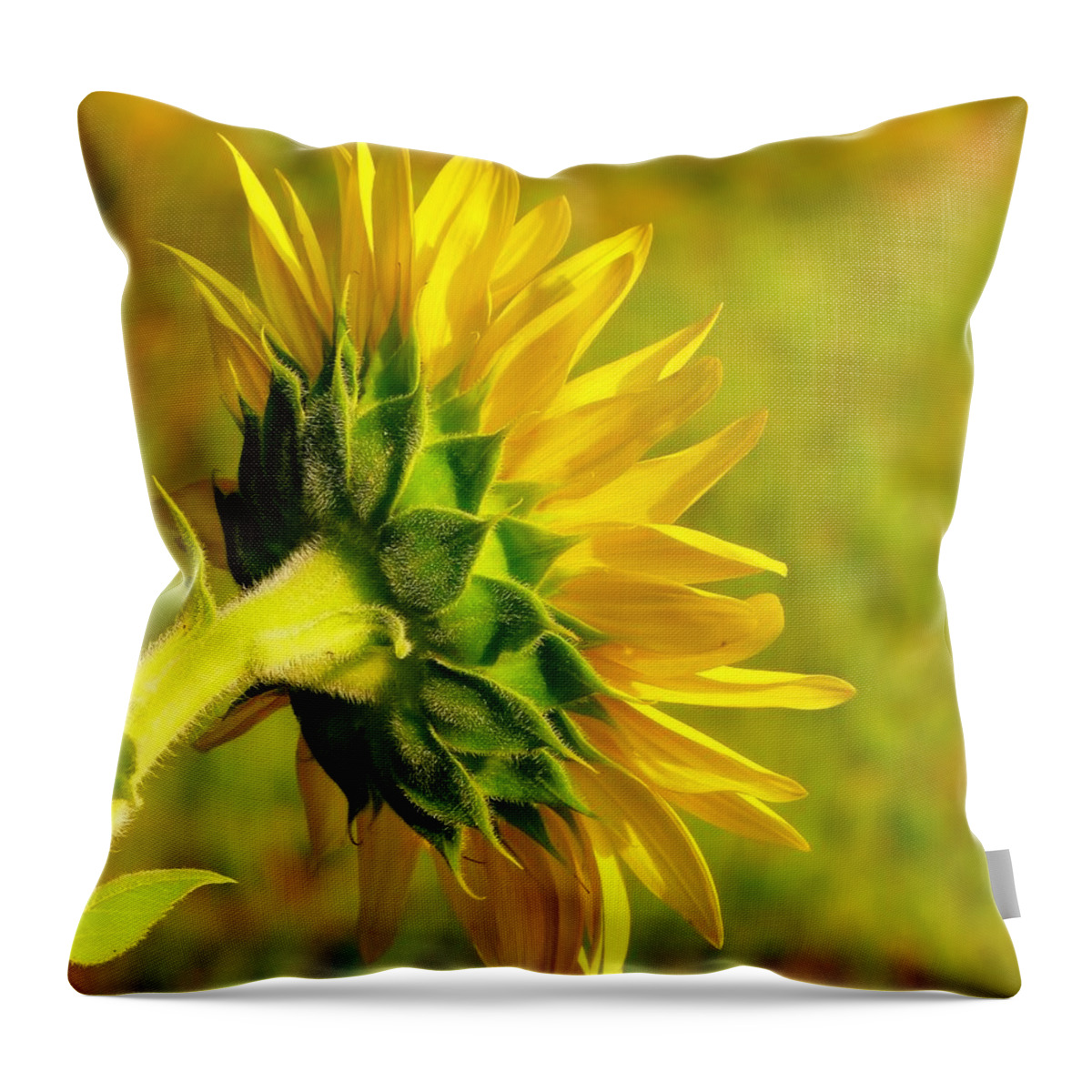 Sunflower Throw Pillow featuring the photograph Sunny Flower by MTBobbins Photography