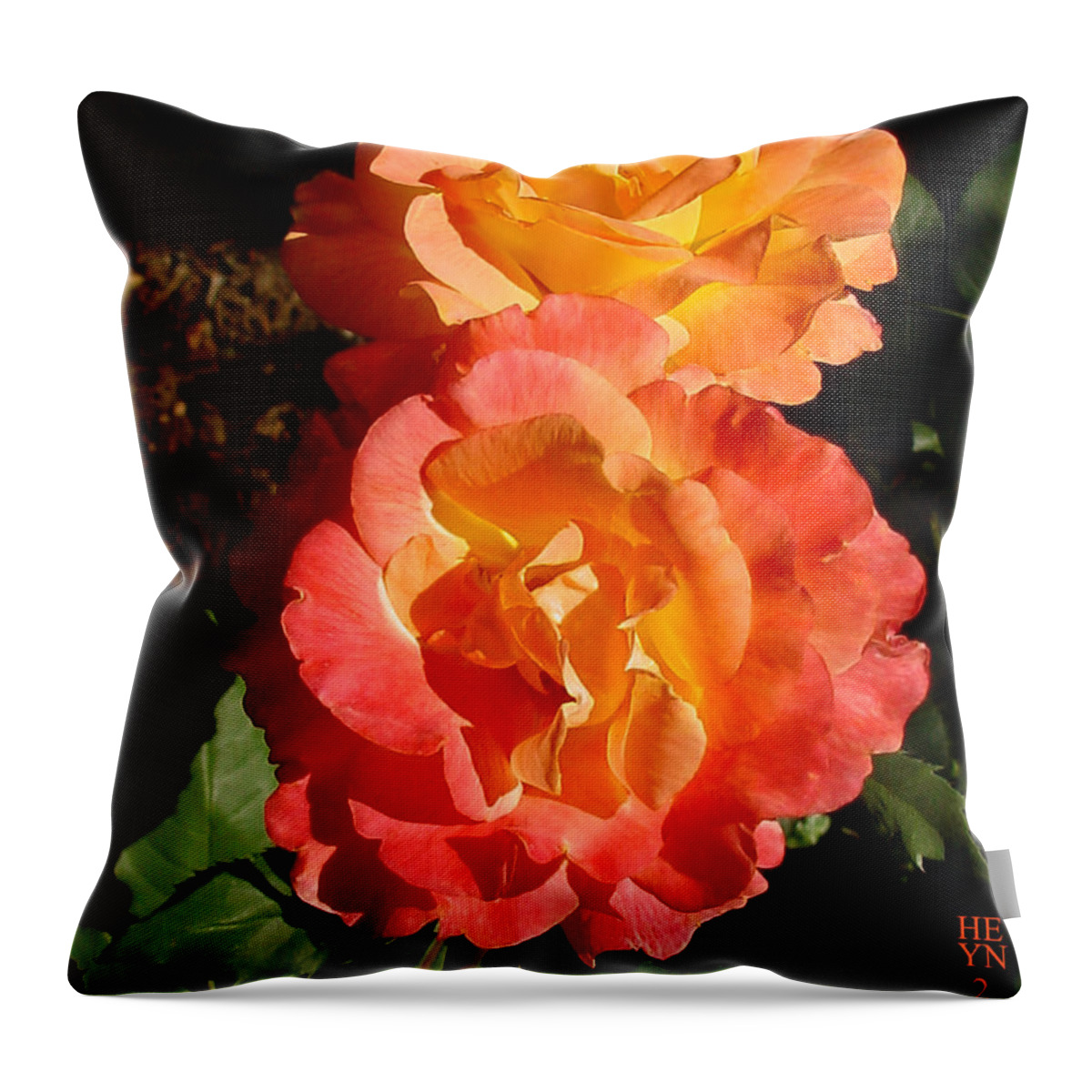 Rose Throw Pillow featuring the photograph Sunny Roses by Shirley Heyn