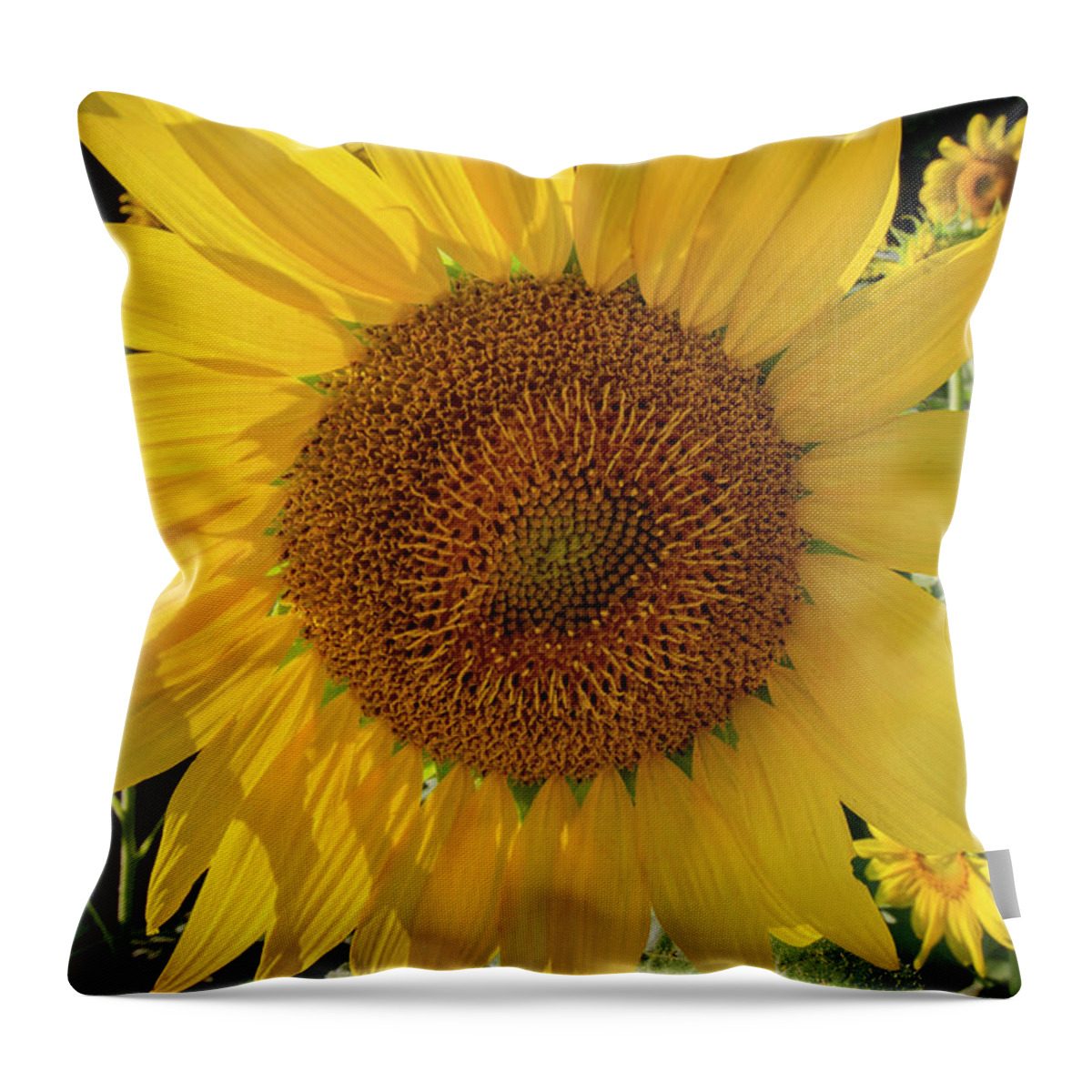 Sunflowers Throw Pillow featuring the photograph Sunny Side Up by Chris Scroggins