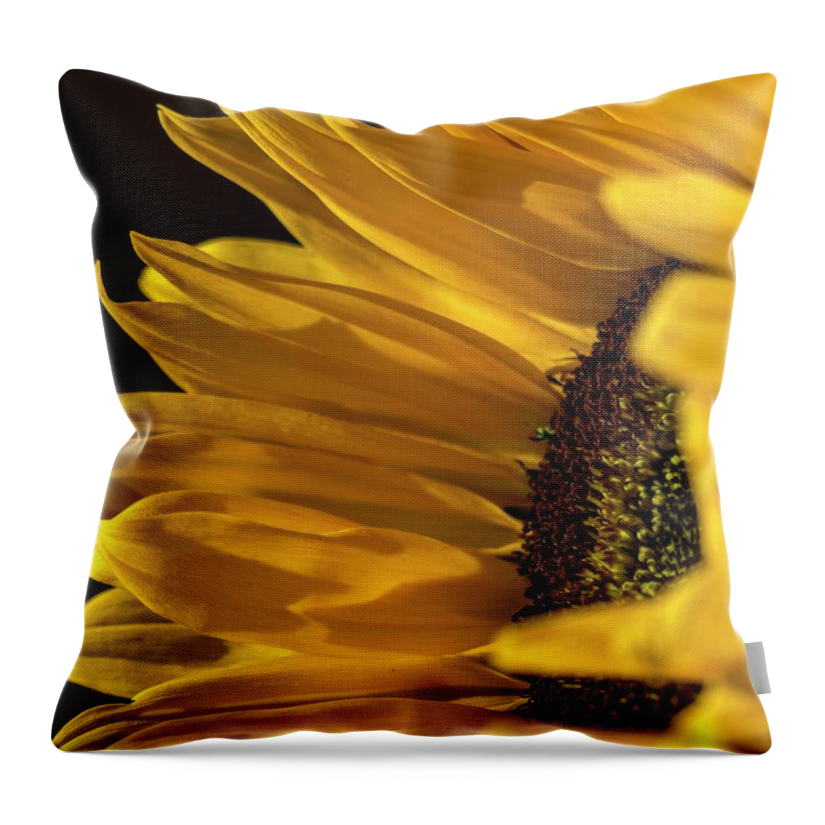 Sunflower Throw Pillow featuring the photograph Sunny Too by Mike-Hope by Michael Hope
