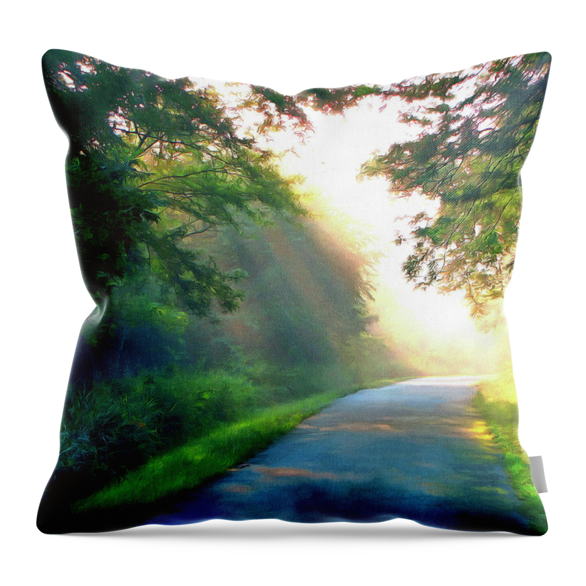 Sunny Trail Throw Pillow featuring the photograph Sunny Trail by Cedric Hampton