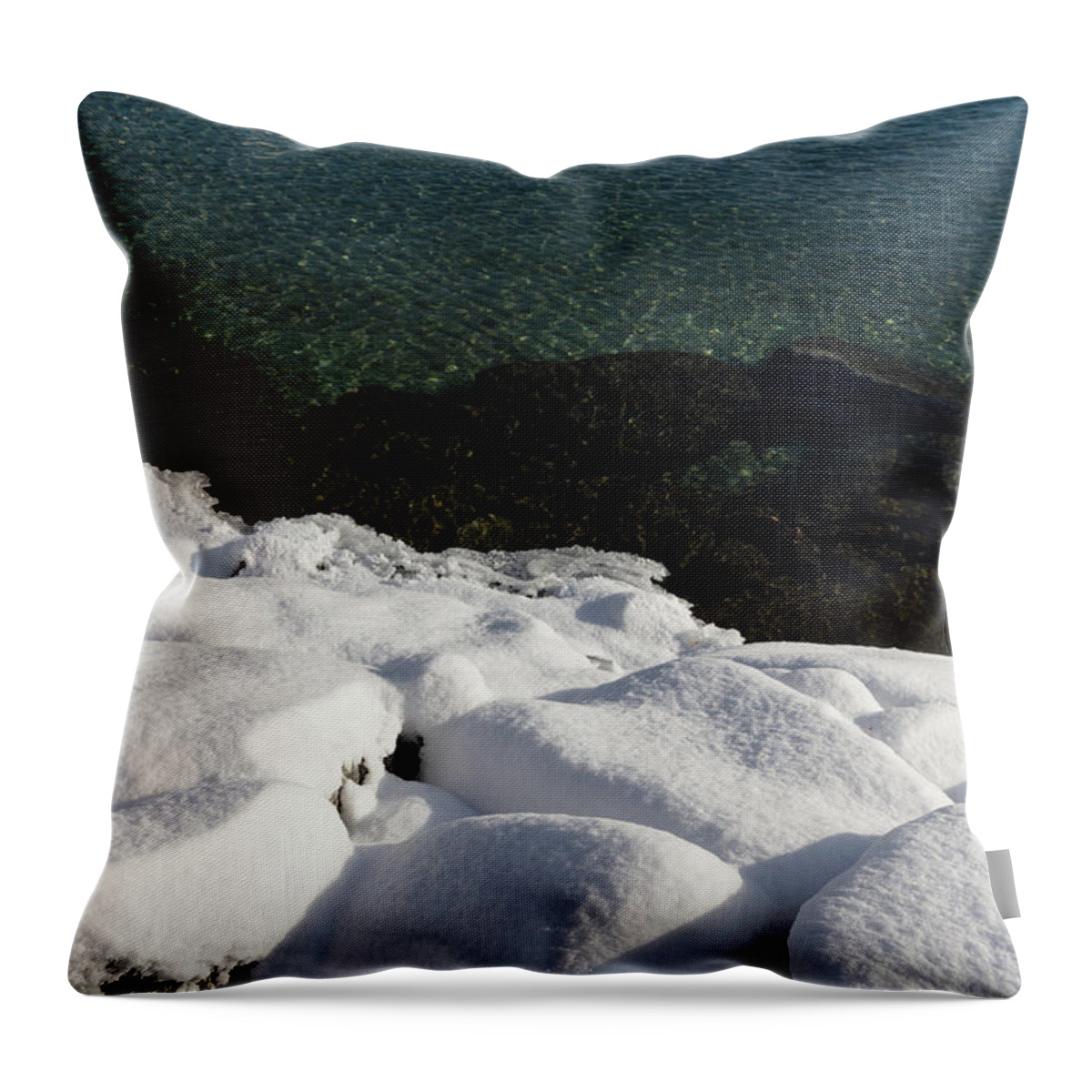 Georgia Mizuleva Throw Pillow featuring the photograph Sunny Winter Layers on the Lake by Georgia Mizuleva