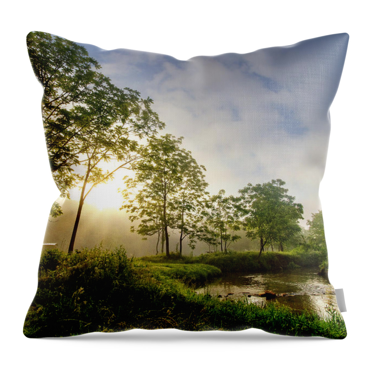 Appalachia Throw Pillow featuring the photograph Sunrays on the Creek by Debra and Dave Vanderlaan