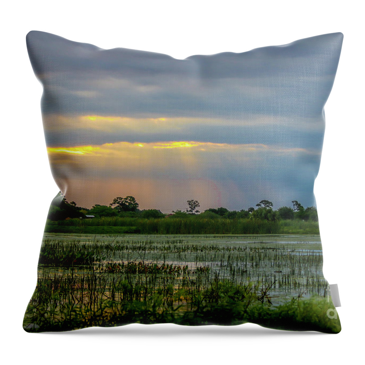 Sun Throw Pillow featuring the photograph Sunrays on the Wetlands by Tom Claud