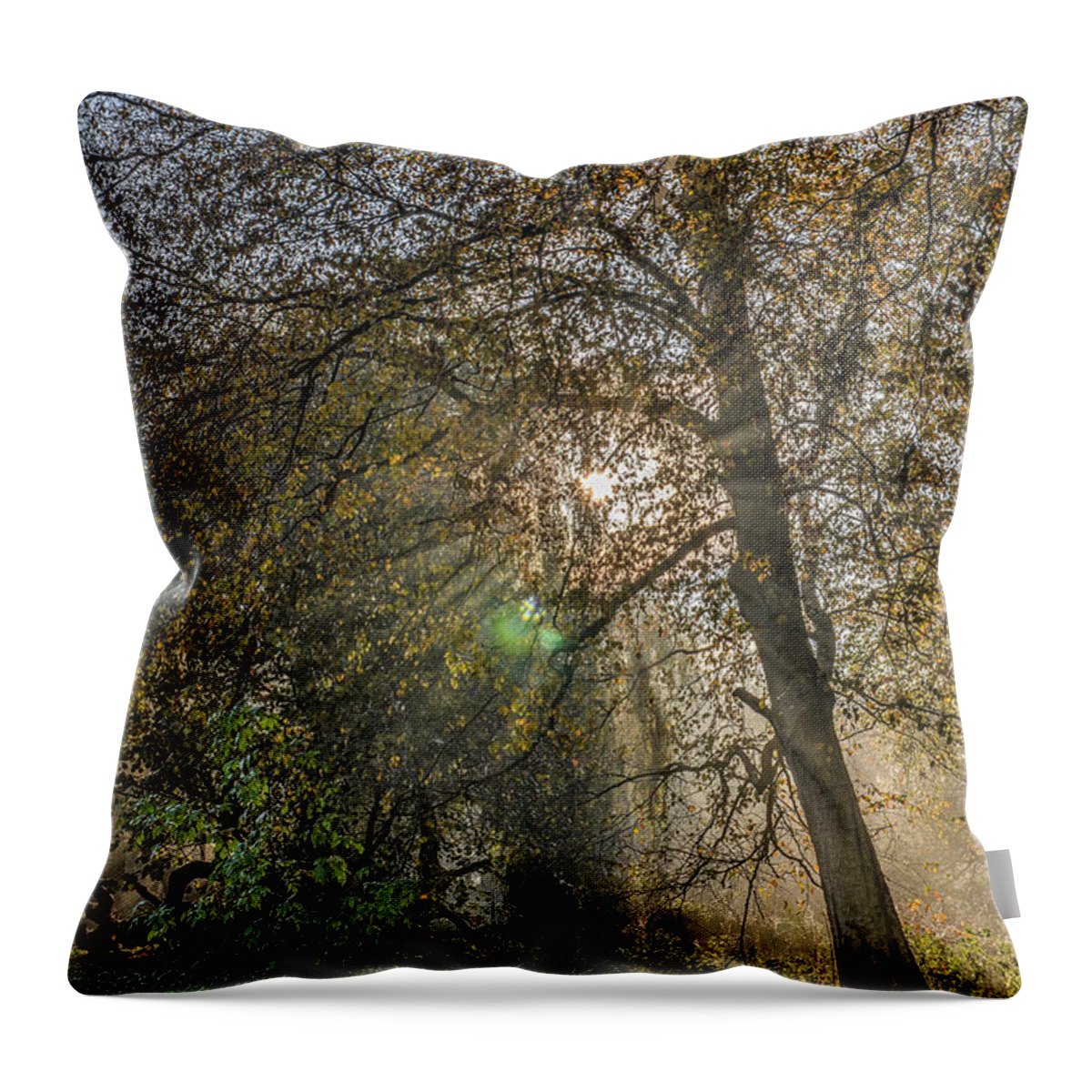 Forest Throw Pillow featuring the photograph Sunrays Through Autumn Trees by Frans Blok