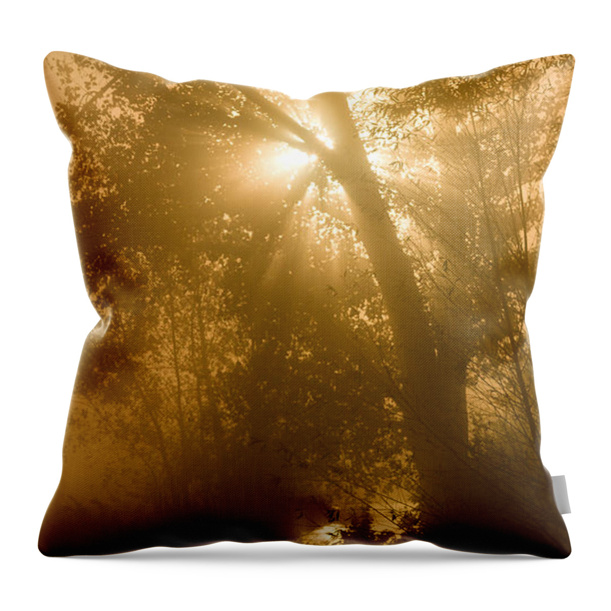Natural Forms Throw Pillow featuring the photograph Sunrise and Fog by Rikk Flohr