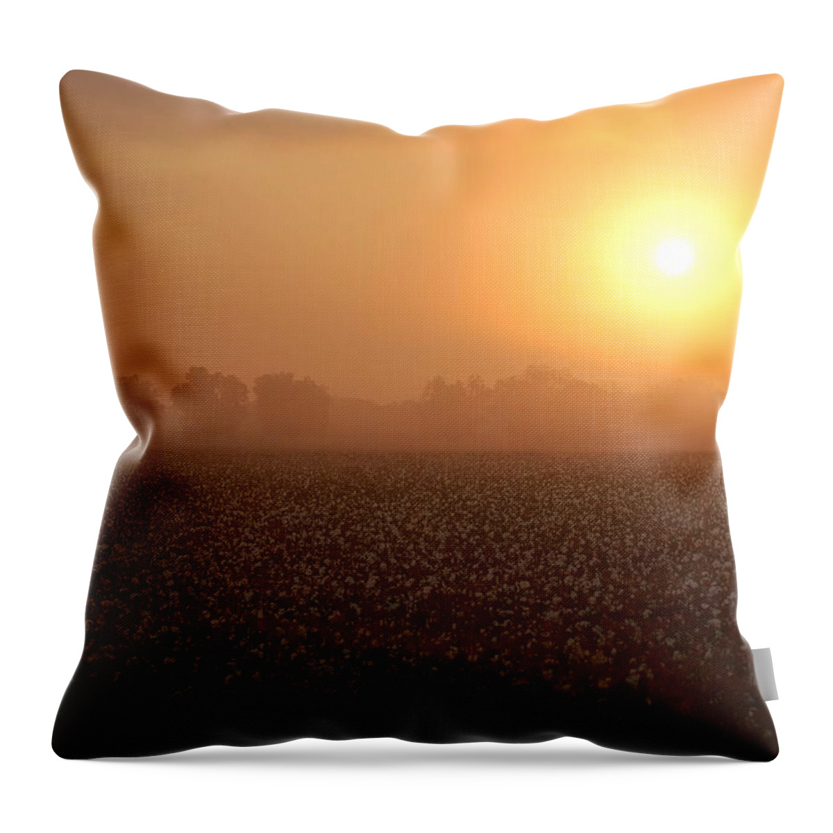 Mobile Throw Pillow featuring the digital art Sunrise and the Cotton Field by Michael Thomas
