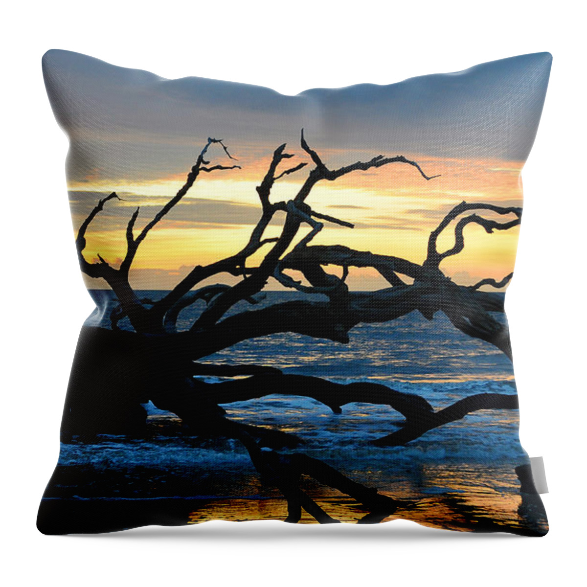 Sunrise Throw Pillow featuring the photograph Sunrise at Driftwood Beach 1.1 by Bruce Gourley