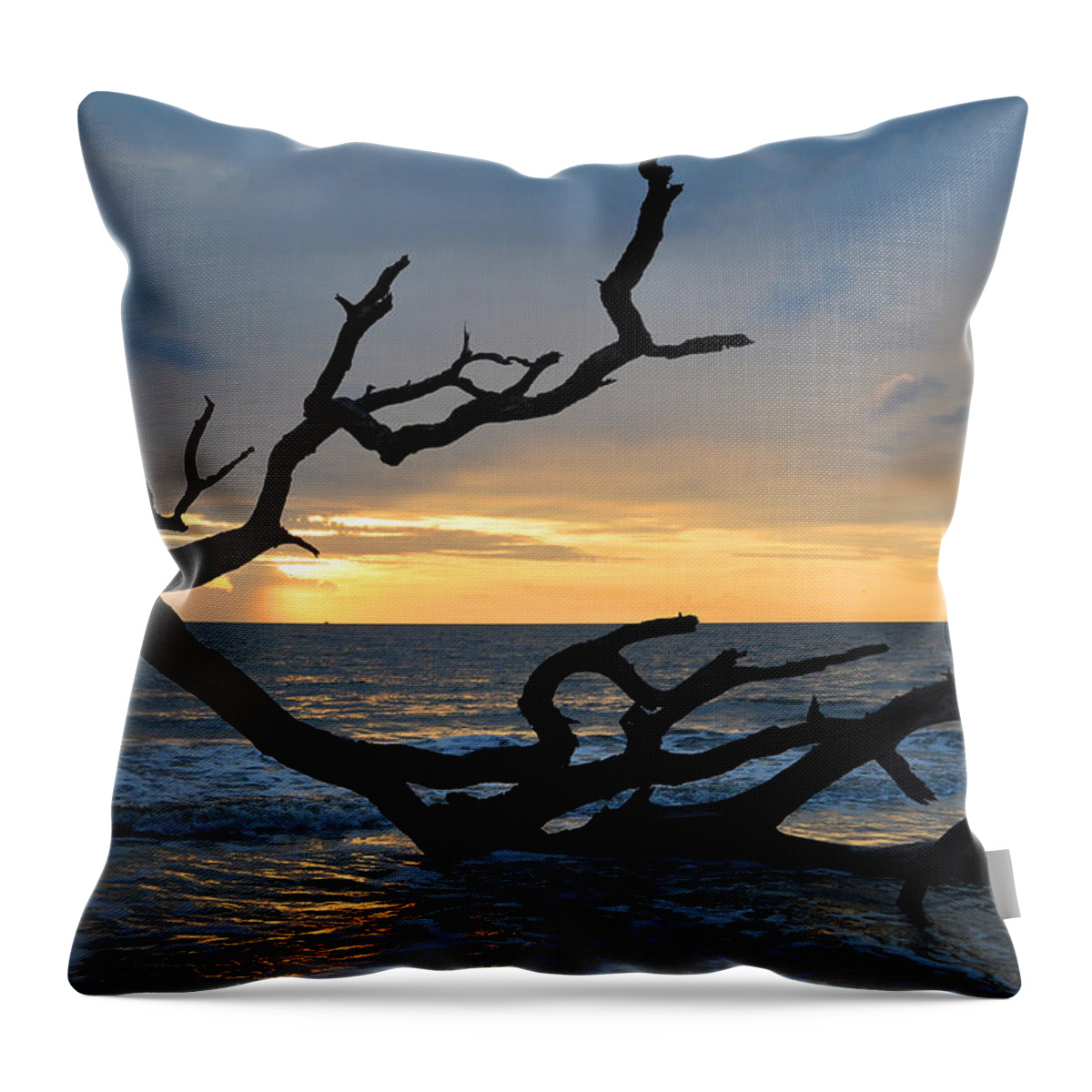 Sunrise Throw Pillow featuring the photograph Sunrise at Driftwood Beach 1.2 by Bruce Gourley