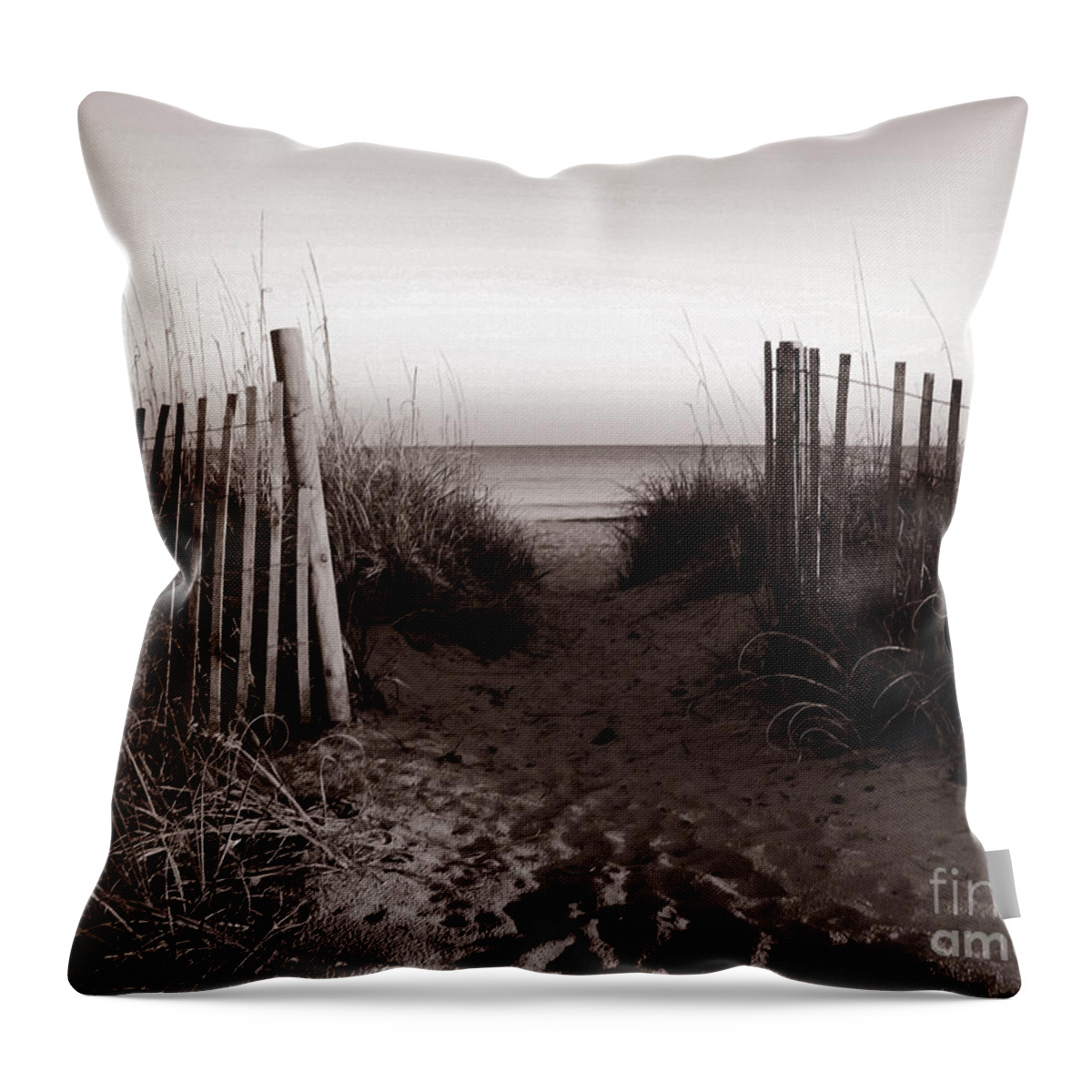 Beach Throw Pillow featuring the photograph Sunrise at Myrtle Beach SC by Susanne Van Hulst