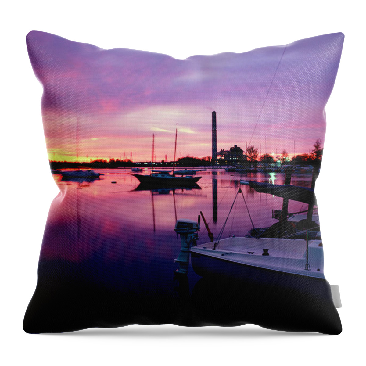 Sunrise Throw Pillow featuring the photograph Sunrise BC Cobb Plant by Frederic A Reinecke