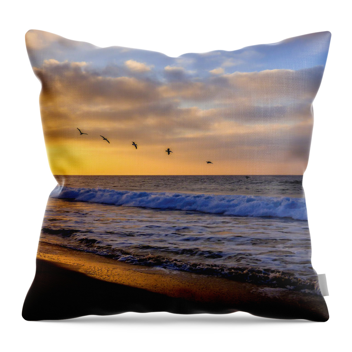 Newport Beach Throw Pillow featuring the photograph Sunrise Flight by Pamela Newcomb
