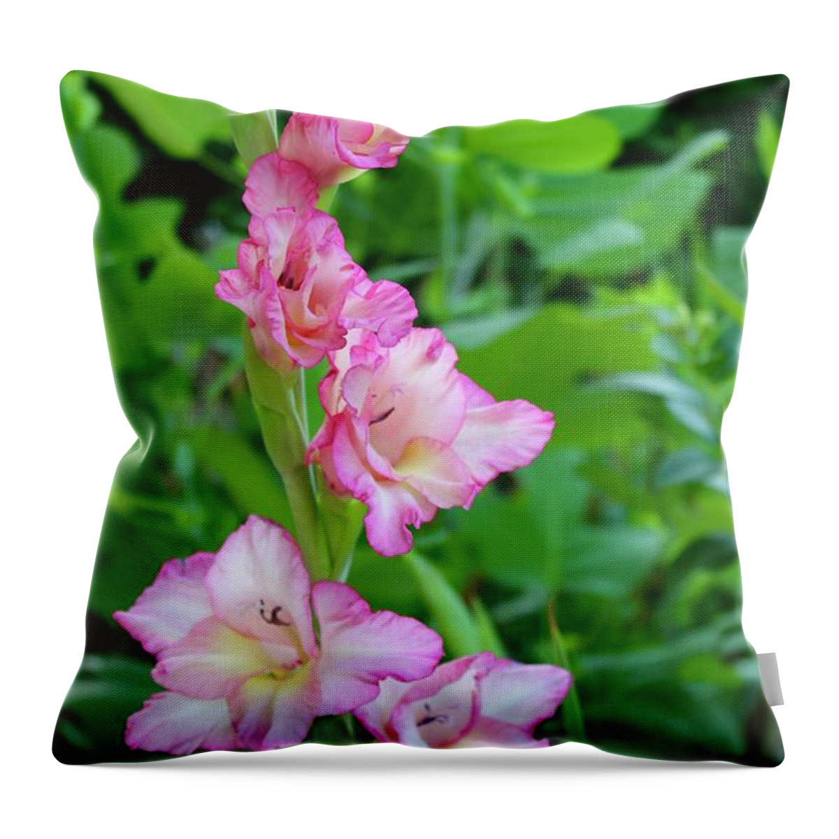Photograph Throw Pillow featuring the photograph Sunrise Gladiolas Flores by M E