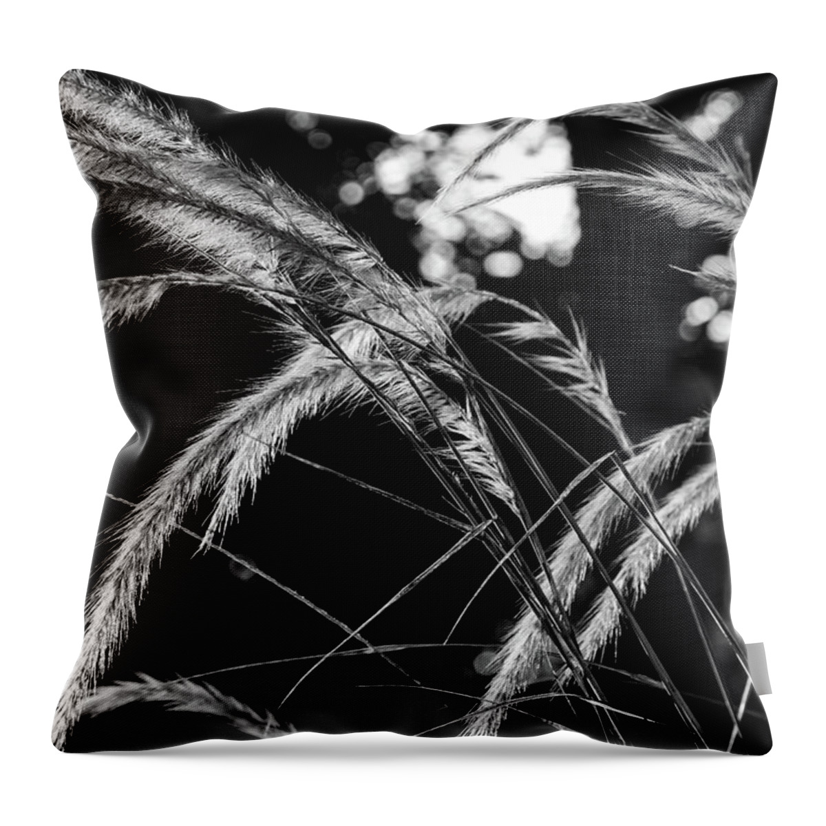 Abstract Throw Pillow featuring the photograph Sunrise Grasses by Glenn DiPaola