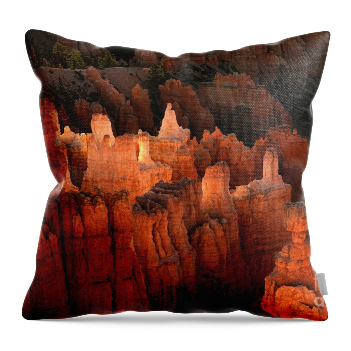 Bryce Canyon Throw Pillow featuring the photograph Sunrise in Bryce 6 by Edward R Wisell
