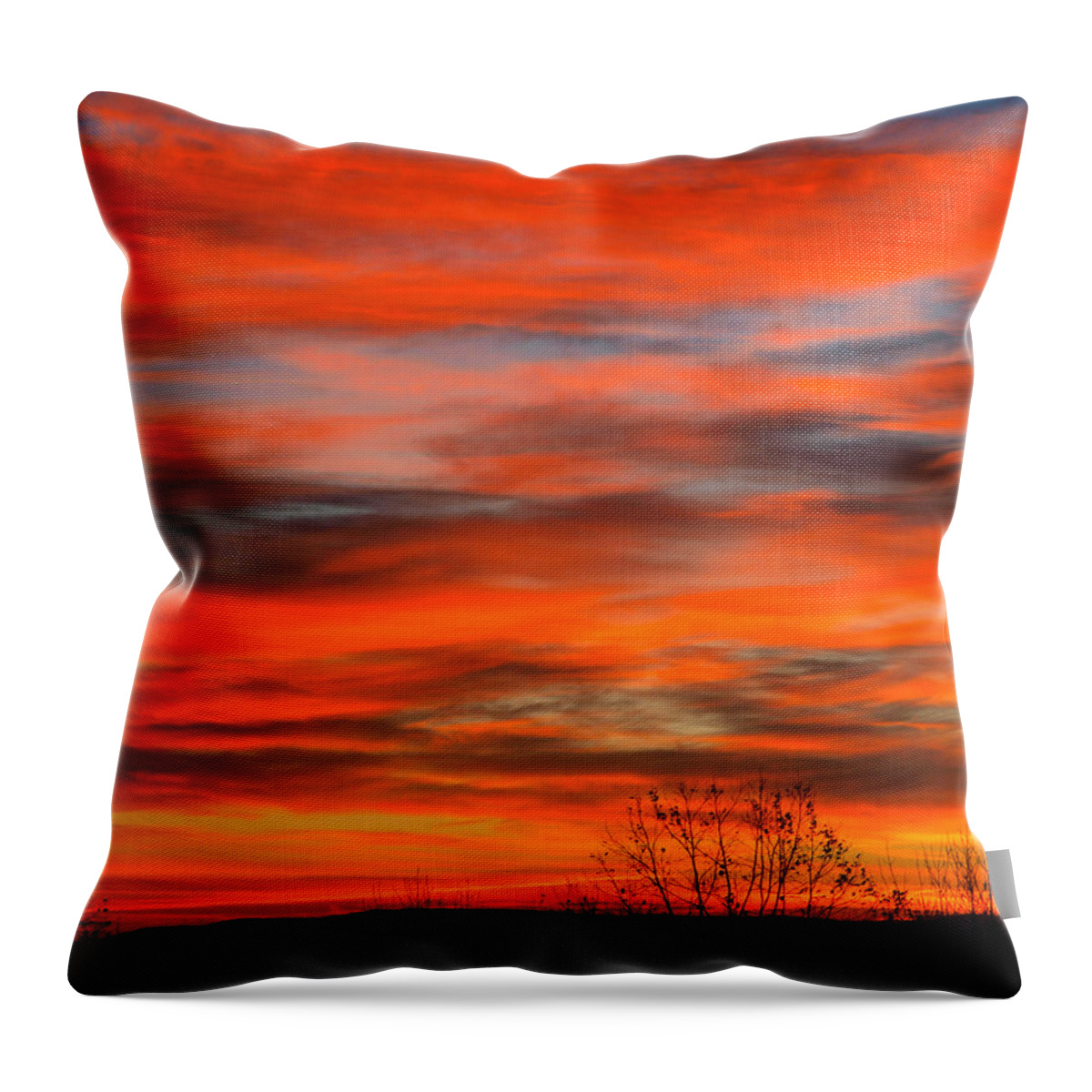 Sun Throw Pillow featuring the photograph Sunrise in Ithaca by Paul Ge