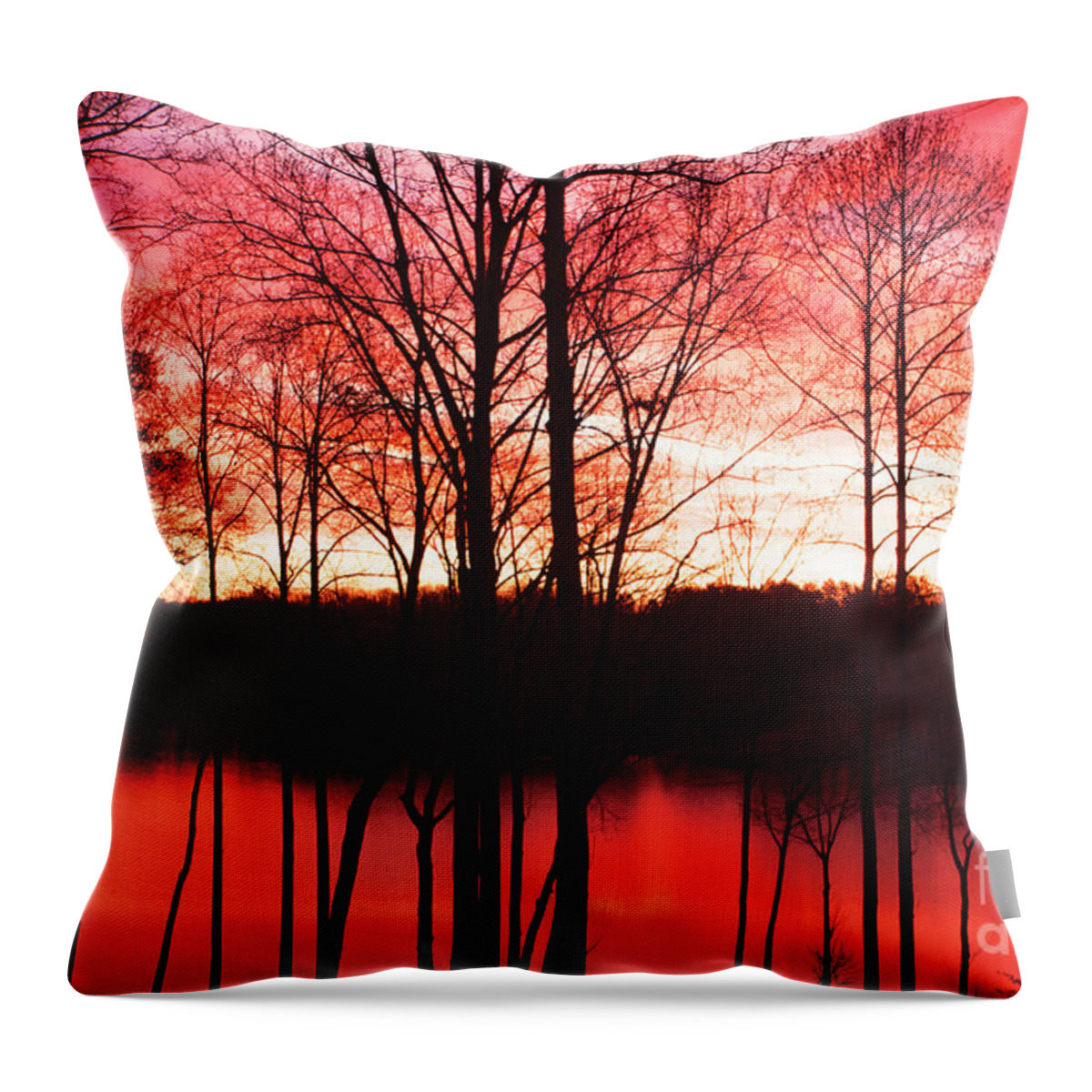 Sunrise Throw Pillow featuring the photograph Sunrise Lake Norman North Carolina by Kim Fearheiley