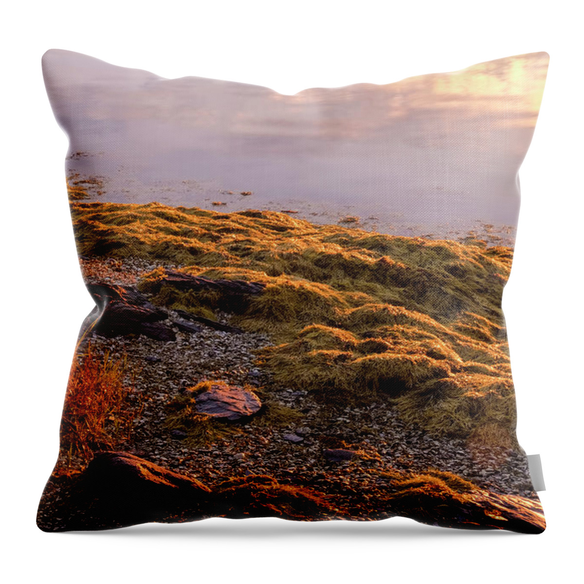 Maine Lobster Boats Throw Pillow featuring the photograph Sunrise Light by Tom Singleton