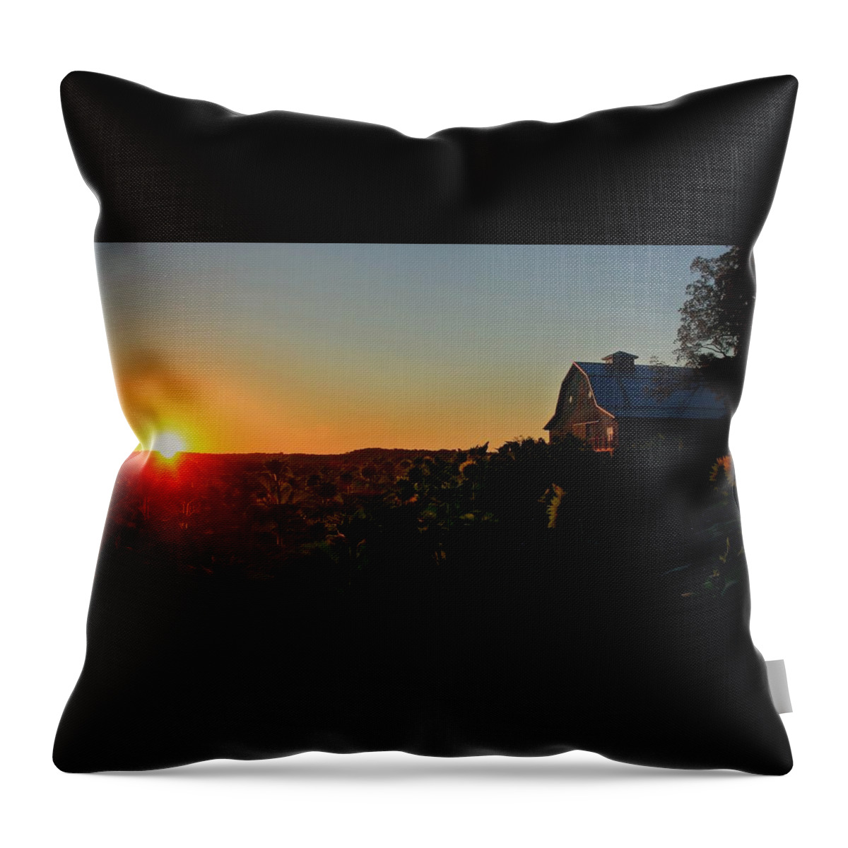Sunrise Throw Pillow featuring the photograph Sunrise on the Farm by Chris Berry