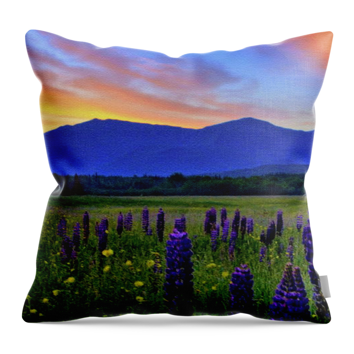 The Presidential Range Throw Pillow featuring the pyrography Sunrise On The Presidentials by Harry Moulton