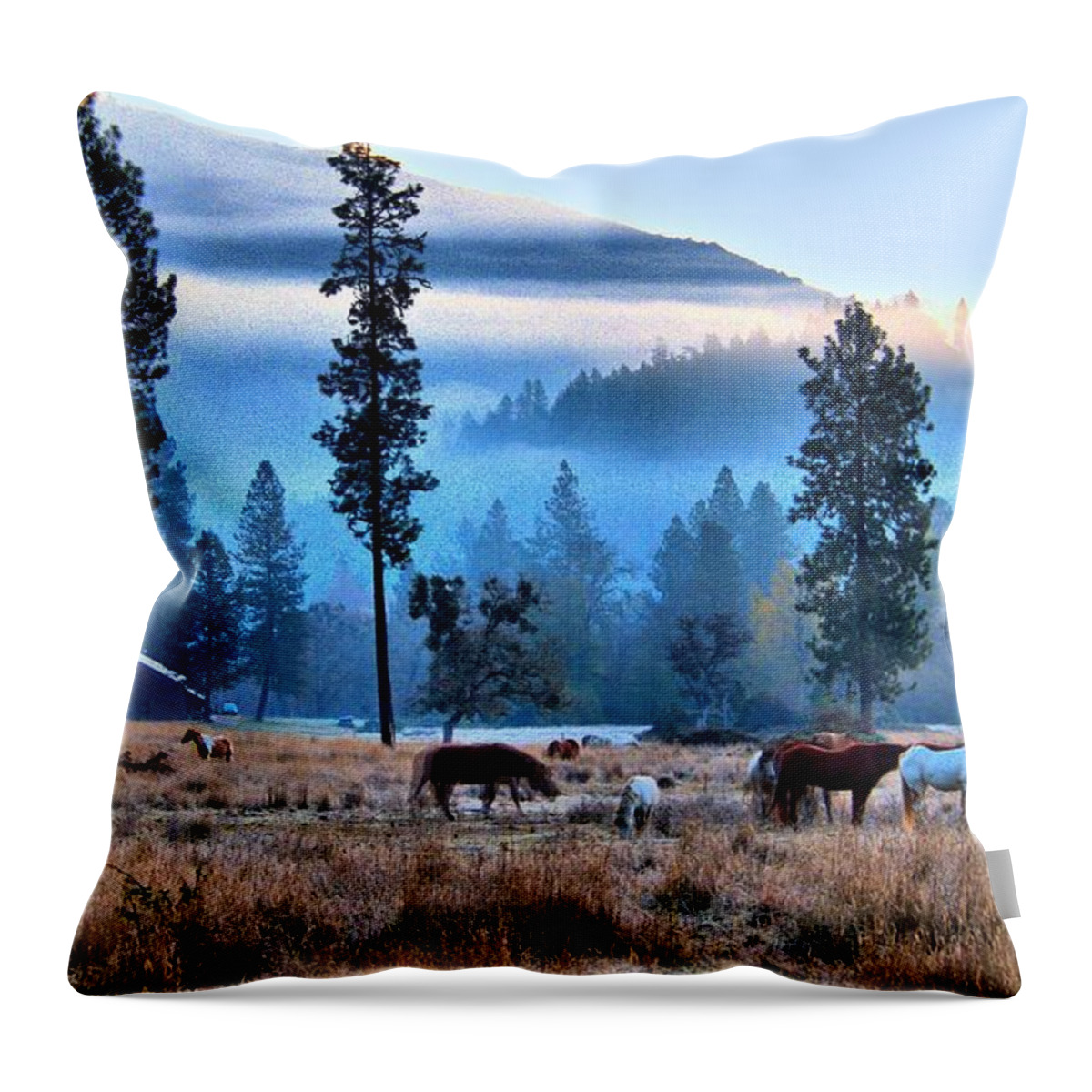Landscape Throw Pillow featuring the photograph Sunrise On The Range by Julia Hassett