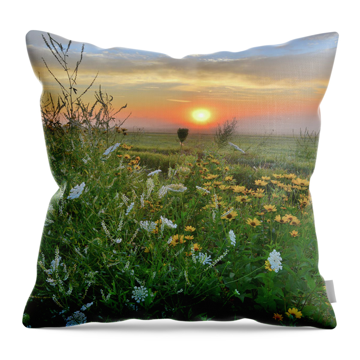 Mchenry County Conservation District Throw Pillow featuring the photograph Sunrise over McHenry County's Glacial Park by Ray Mathis