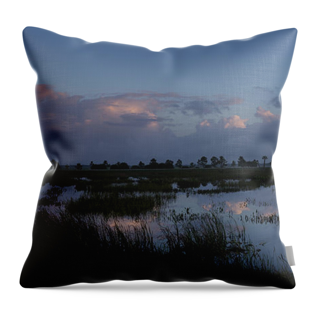 Colorful Throw Pillow featuring the photograph Sunrise over the wetlands by David Watkins
