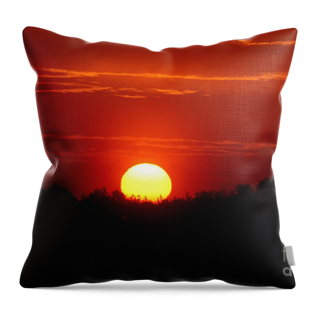 Sun Set ;early Morning Sun Rise; The Glow Of The Morning Sun; Across The Field Above The Trees; He Said Let There Be Light Throw Pillow featuring the photograph Sunrise by Robin Coaker