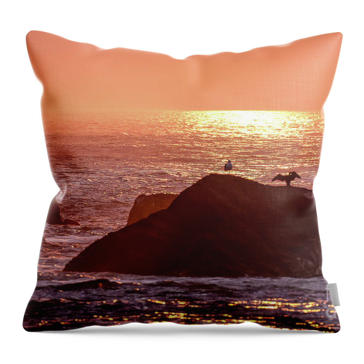 Monhegan Island Throw Pillow featuring the photograph Sunrise, South Shore by Tom Cameron