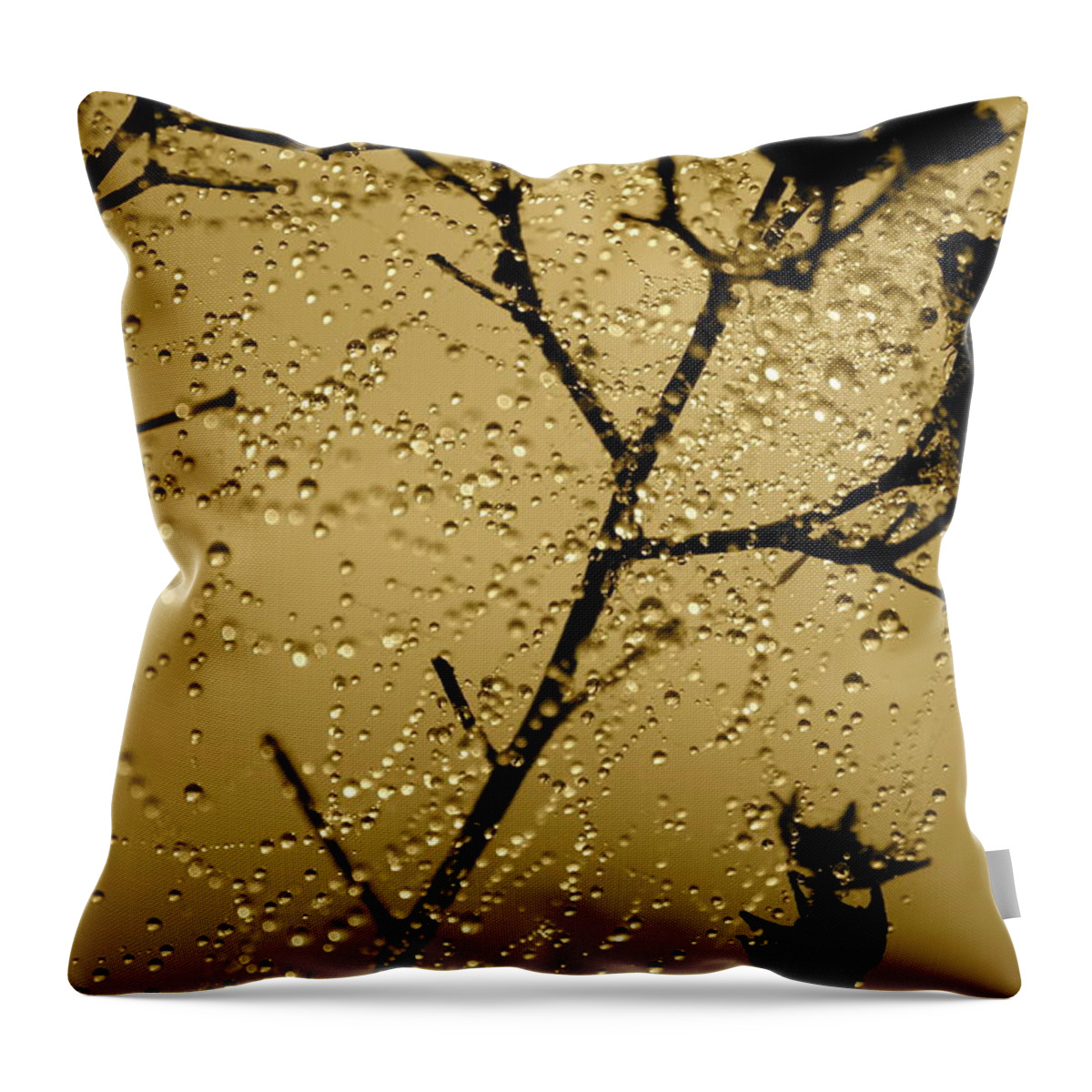 Dewdrops On Spider Web Throw Pillow featuring the photograph Sunrise Sparkle by Carol Groenen
