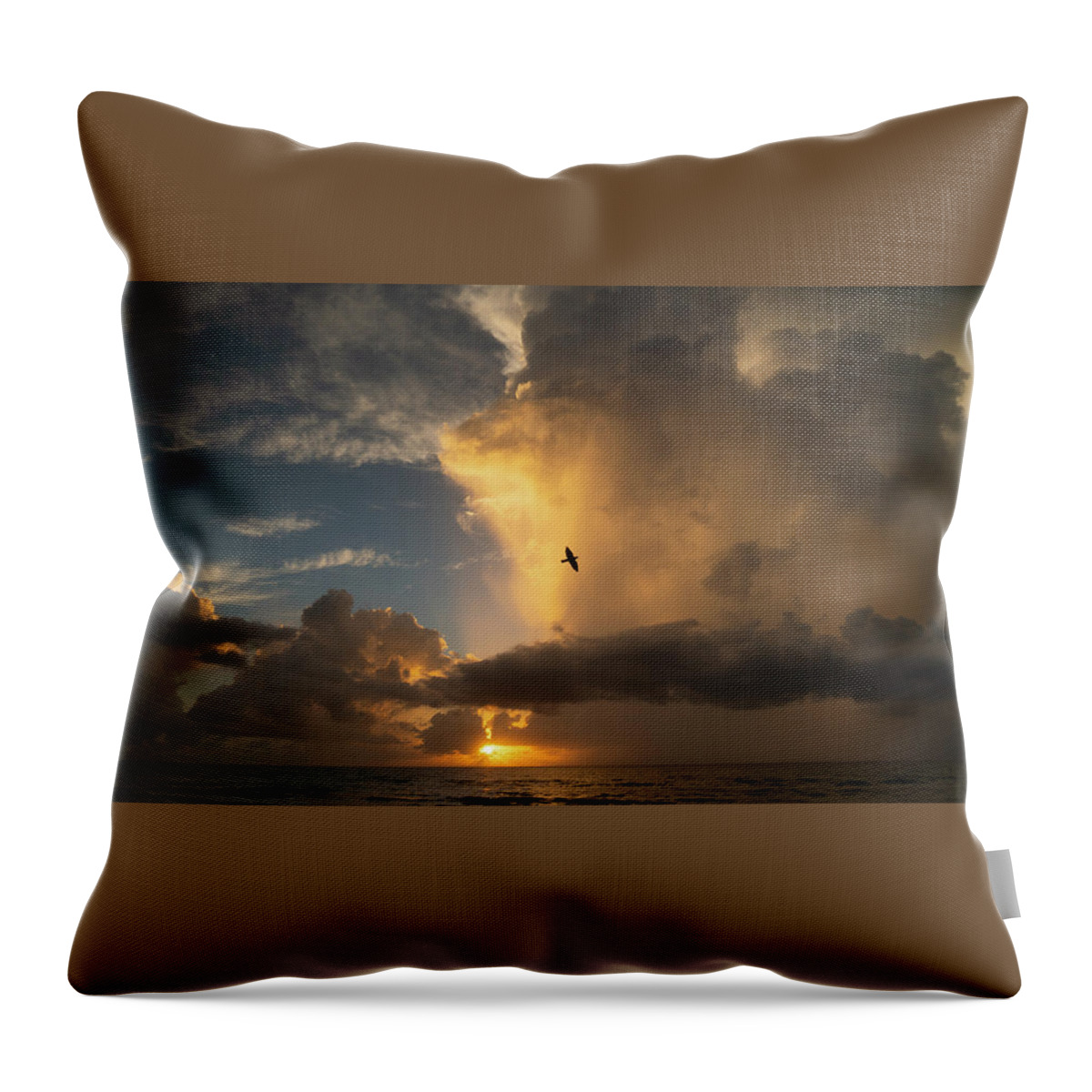 Florida Throw Pillow featuring the photograph Sunrise Thunderstorm Bird Delray Beach Florida by Lawrence S Richardson Jr