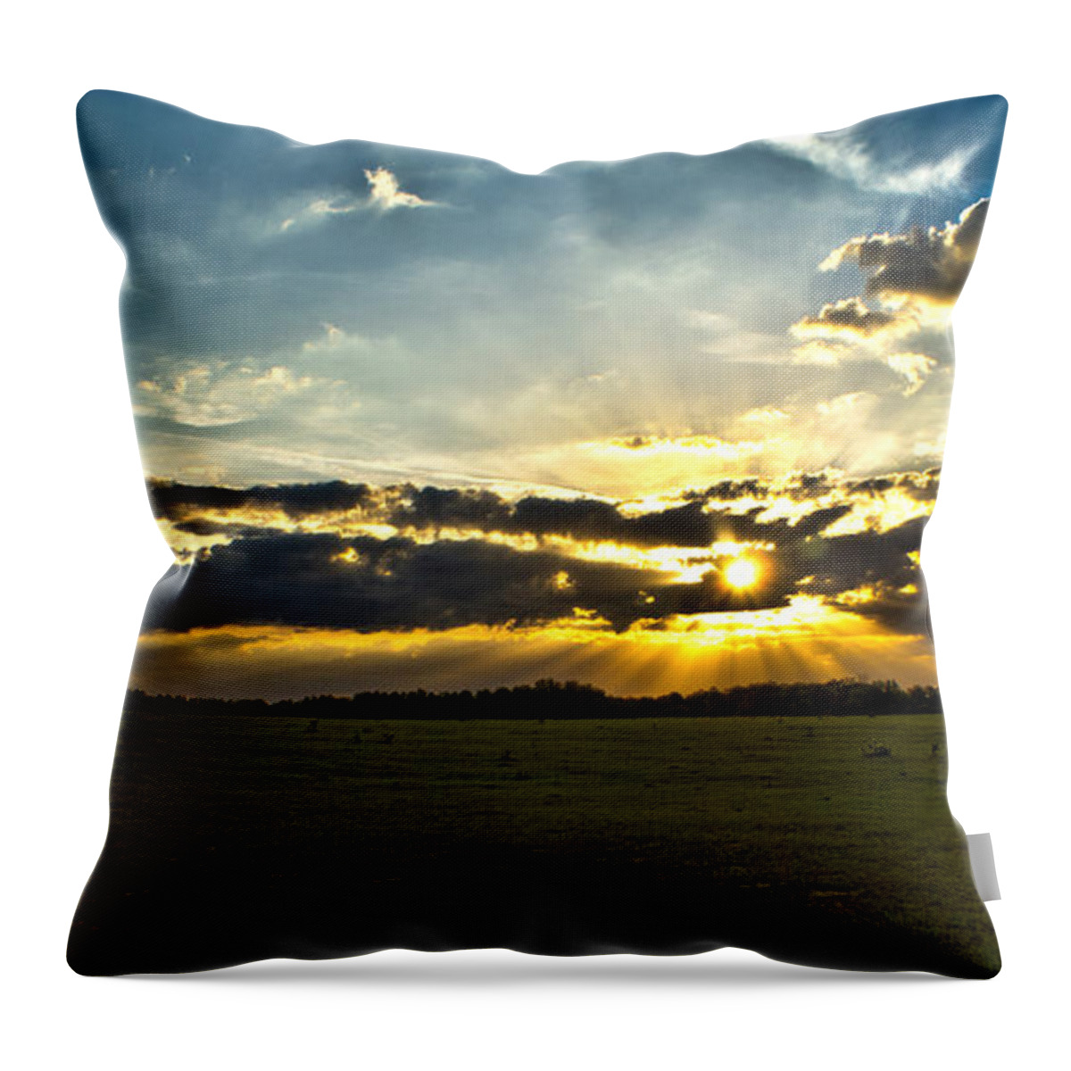 Scenic Throw Pillow featuring the photograph Sunset Across Open Field by Christopher Holmes