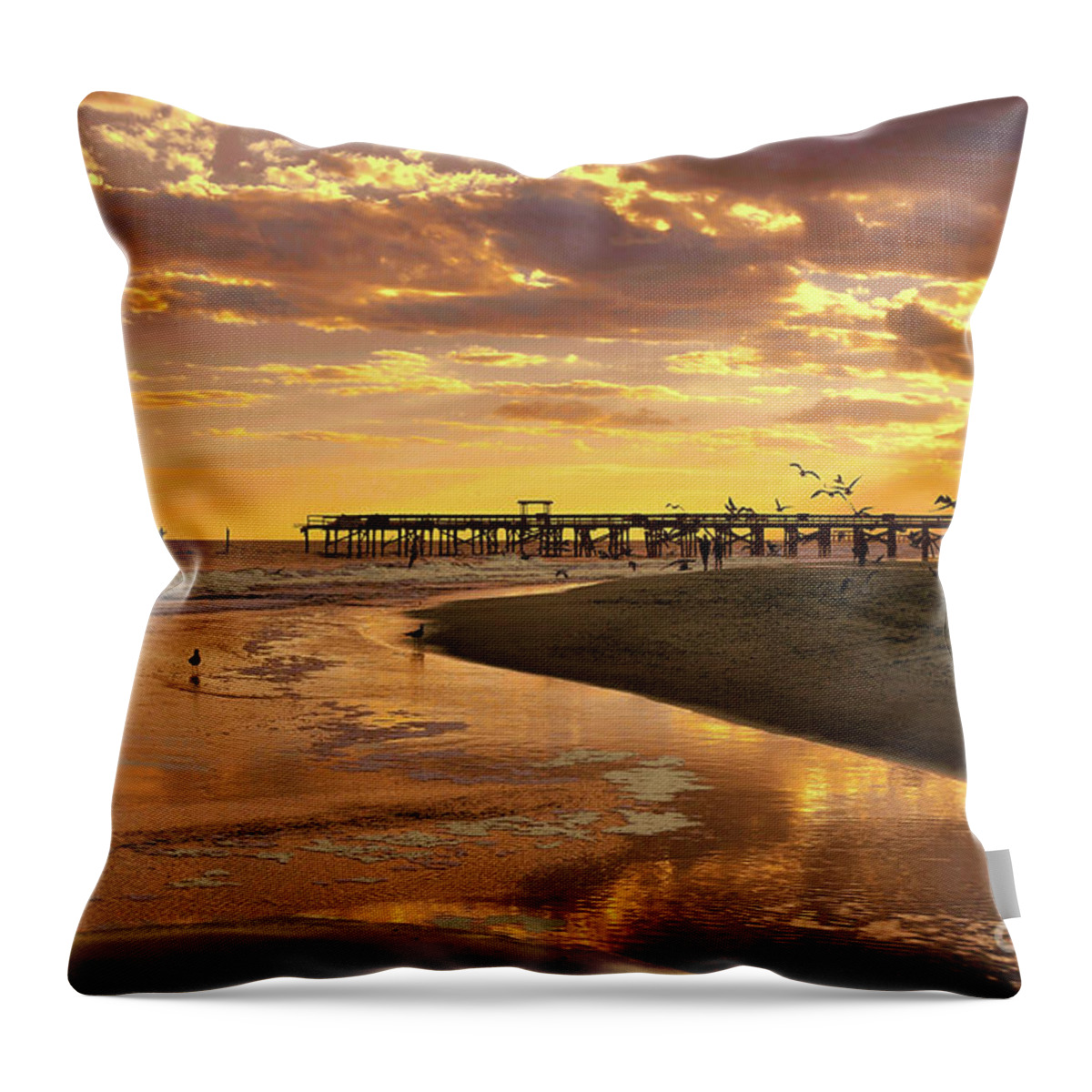 Scenic Throw Pillow featuring the photograph Sunset And Gulls by Kathy Baccari