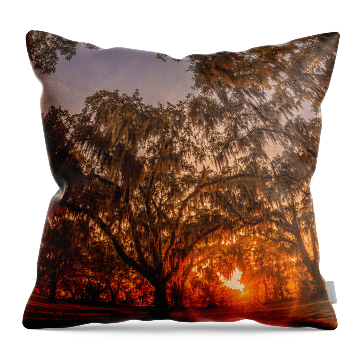Ancient Throw Pillow featuring the photograph Sunset at Gascoigne Bluff by Chris Bordeleau