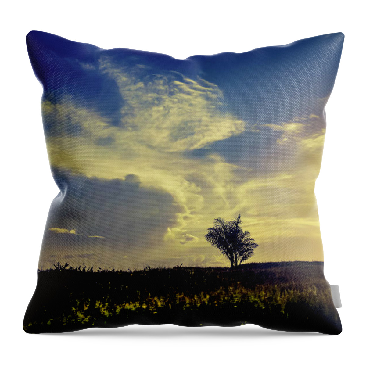 Throw Pillow featuring the photograph Sunset at Kuru Kuru by Sawan Jagnarain