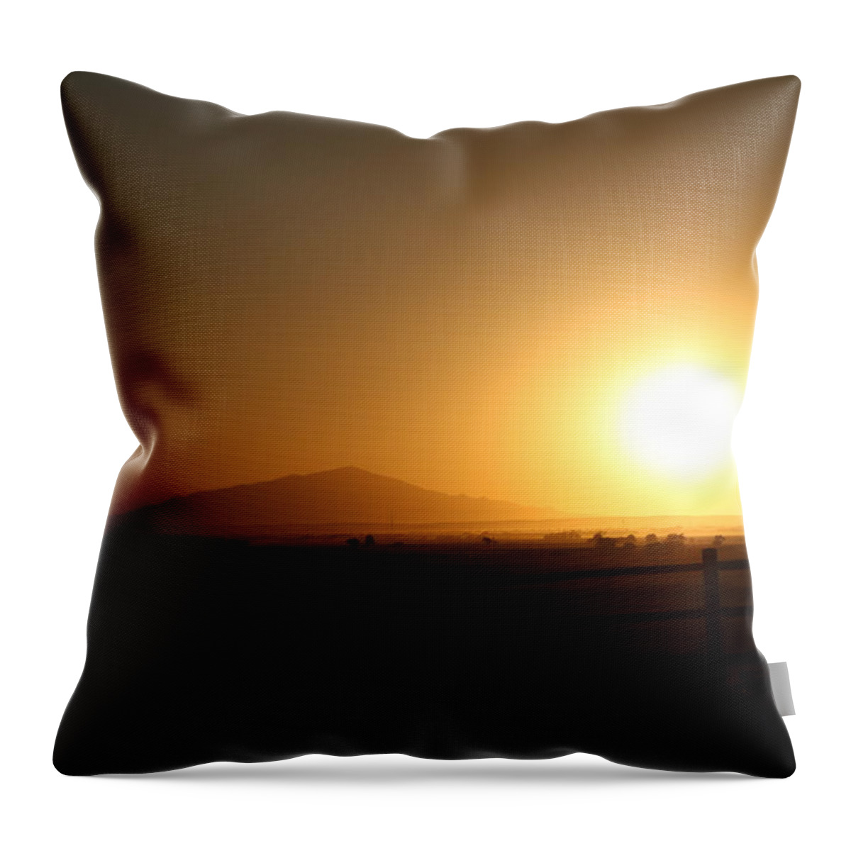 Print Throw Pillow featuring the photograph Sunset at Roswell New Mexico by Ryan Crouse
