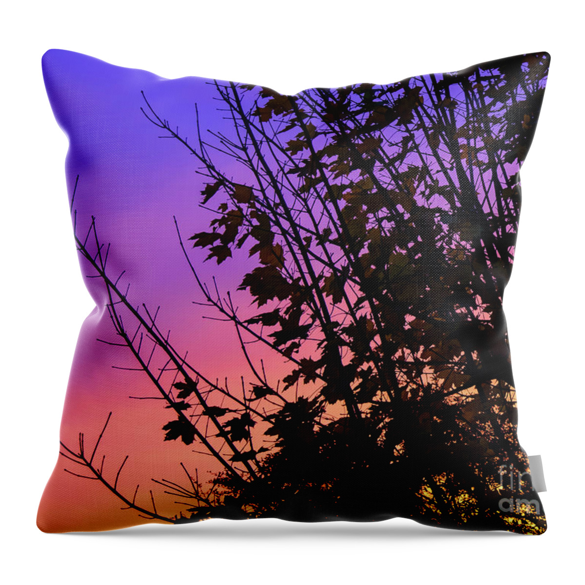 Trees Throw Pillow featuring the photograph Sunset behind trees by Colin Rayner