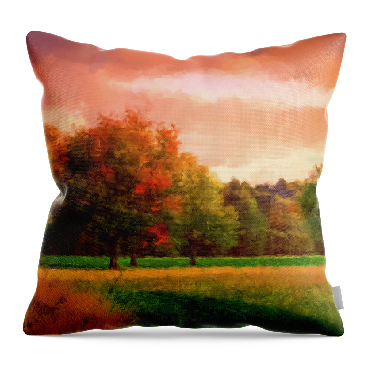 Sunset Throw Pillow featuring the digital art Sunset Field by Gary Grayson