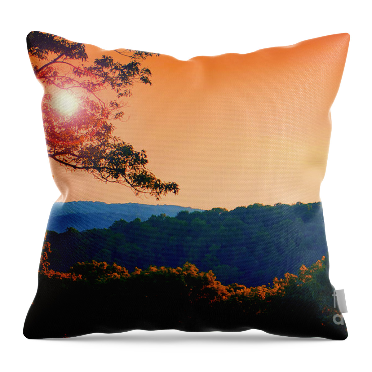 Landscape Throw Pillow featuring the photograph Sunset Hills by Mark Miller