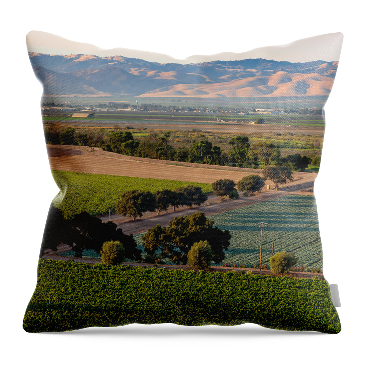 Sunset Throw Pillow featuring the photograph Sunset in Salinas Valley by Derek Dean