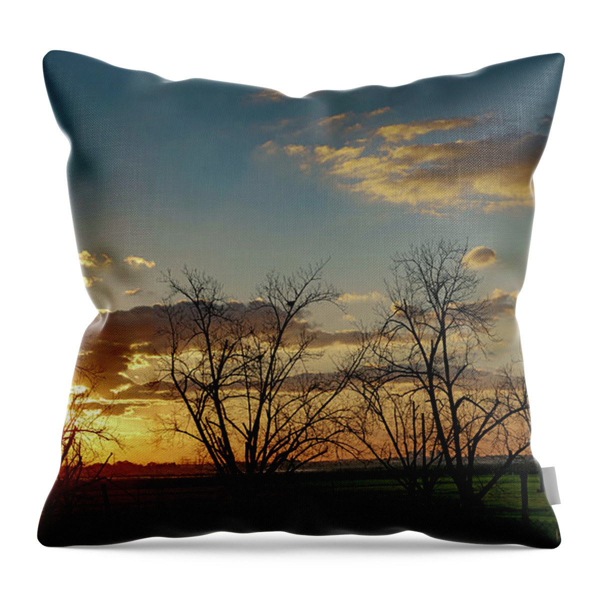 Panorama Throw Pillow featuring the photograph Sunset in the fields of Binyamina by Arik Baltinester