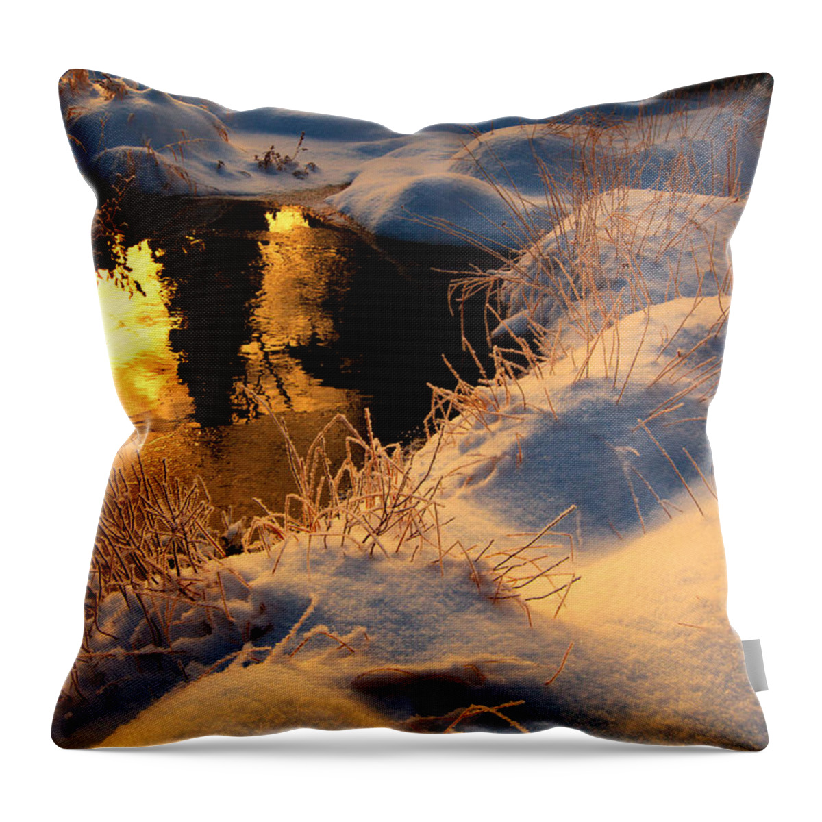 Blue Mountain- Birch Cove Lakes Wilderness Throw Pillow featuring the photograph Sunset Mood by Irwin Barrett