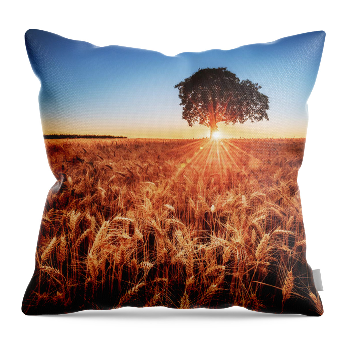 Sunset Throw Pillow featuring the photograph Sunset on the Fields by Marc Braner