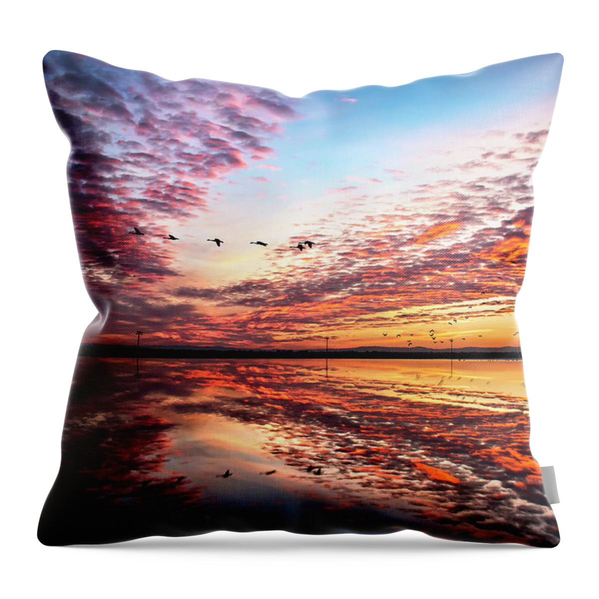 Sunset Throw Pillow featuring the photograph Sunset on the pacific flyway by Abram House