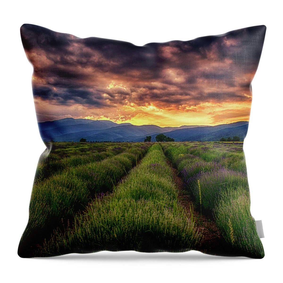 Field Throw Pillow featuring the photograph Sunset Over Lavender Field by Plamen Petkov