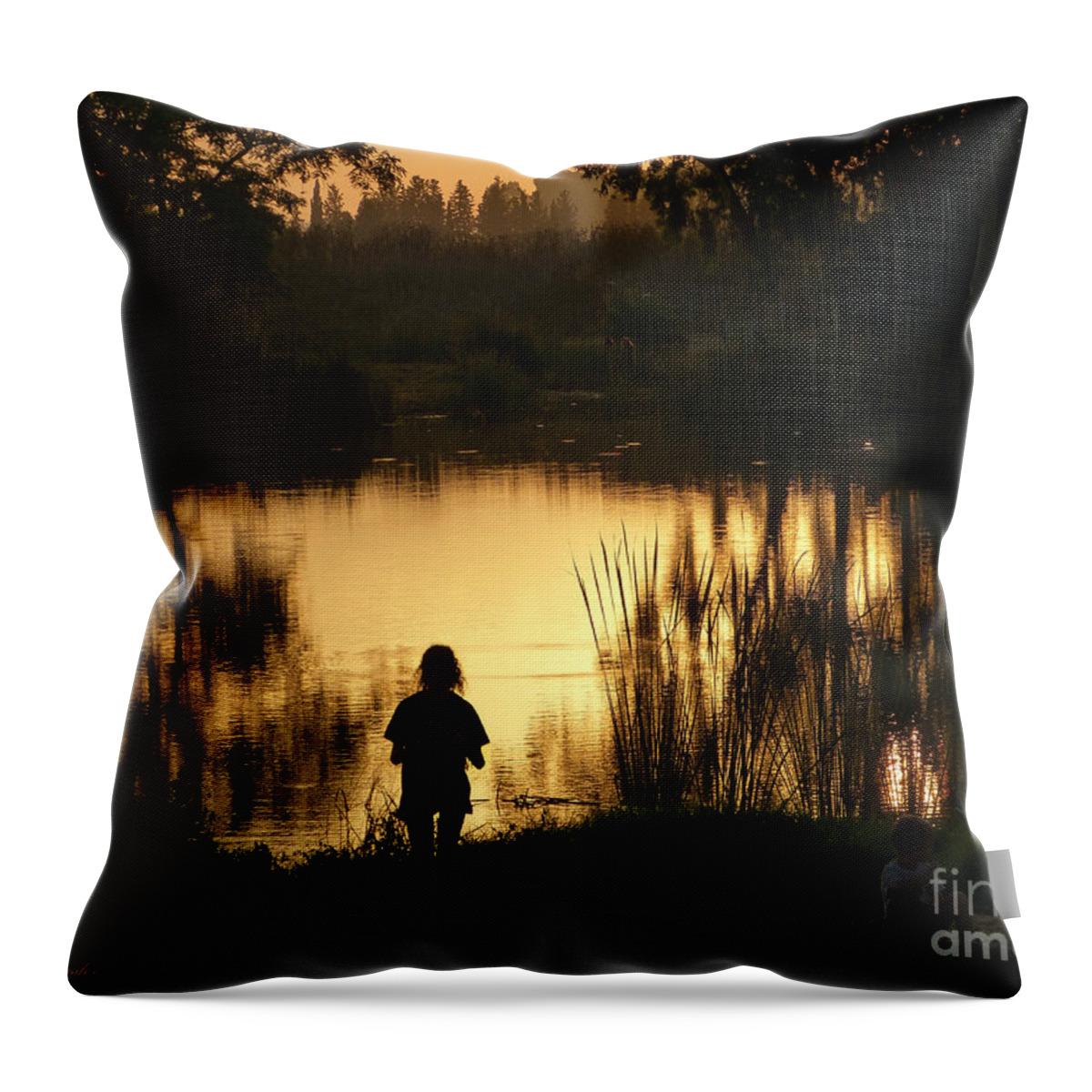 Sunset Throw Pillow featuring the photograph Sunset reflections by Arik Baltinester