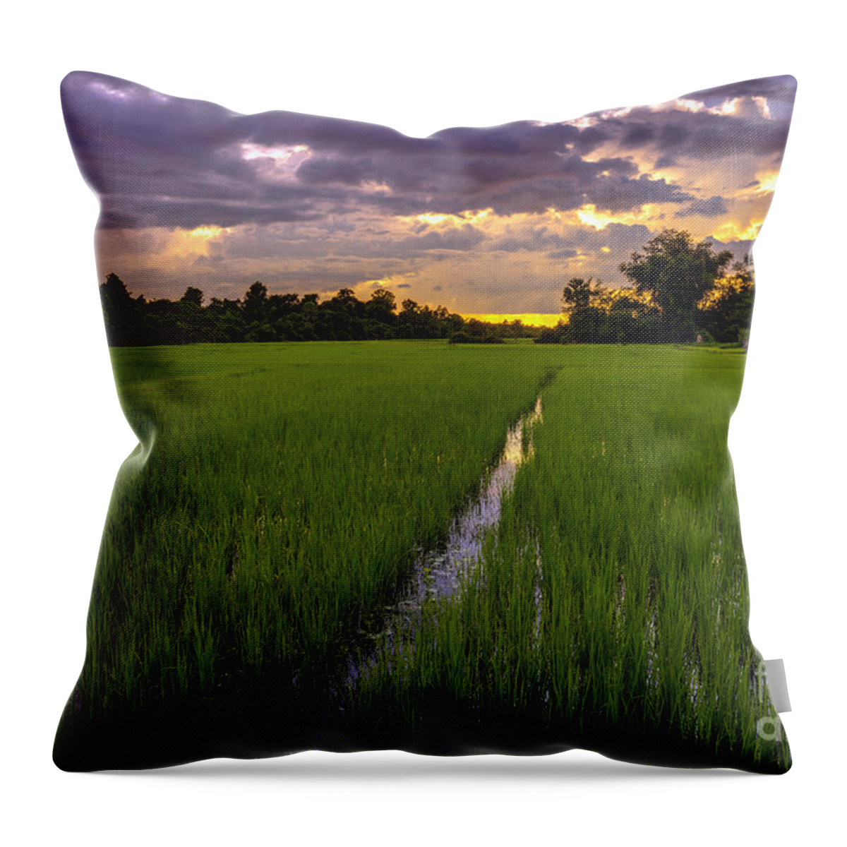 Cambodia Throw Pillow featuring the photograph Sunset Rice Fields in Cambodia by Mike Reid